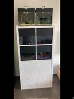 Étagère pour aquarium, Animaux & Accessoires, Enlèvement, Comme neuf, Aquarium vide