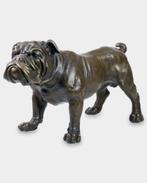 Grande statue en bronze lourd d'un bouledogue anglais FREE L