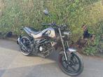 Benelli - Leoncino 125, Motoren, Bedrijf, 125 cc, 11 kW of minder, 1 cilinder