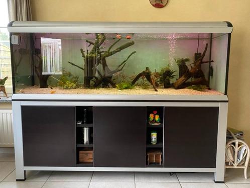 aquarium Ferplast Star 200, Animaux & Accessoires, Poissons | Aquariums & Accessoires, Utilisé, Aquarium d'eau douce rempli, Enlèvement