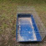 Gratis konijn/cavia kooi, Animaux & Accessoires, Enlèvement, Comme neuf, Cage, Lapin
