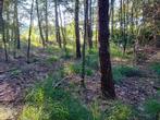bosgrond te koop, Immo, Gronden en Bouwgronden, Lille, 500 tot 1000 m²